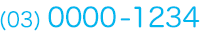 (03) 0000-1234