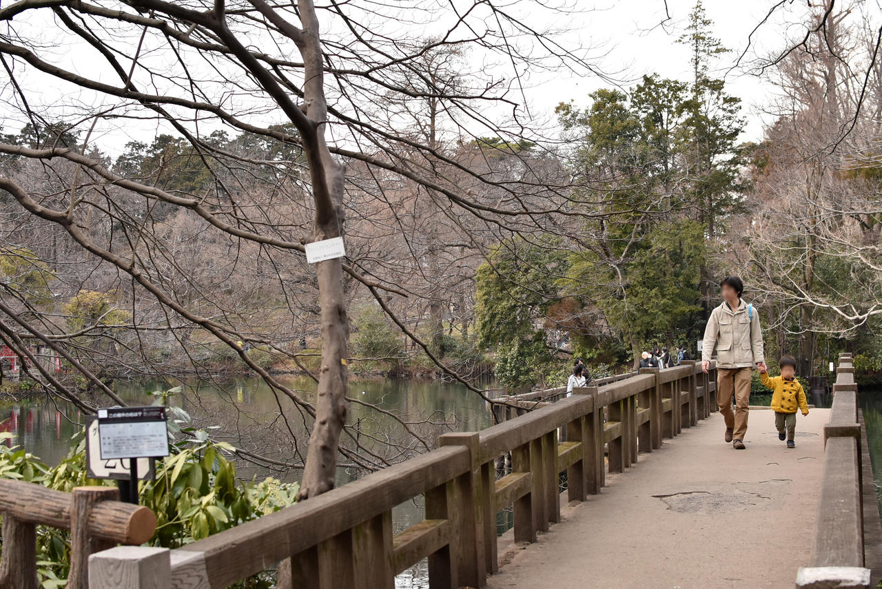 井の頭公園３