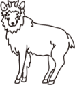 かもしかのイラスト