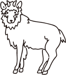 かもしかのイラスト
