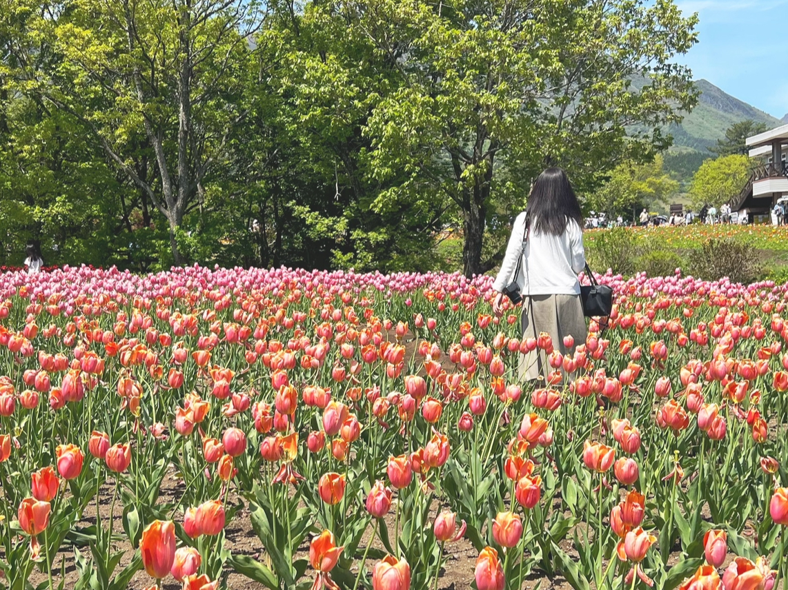 花と私