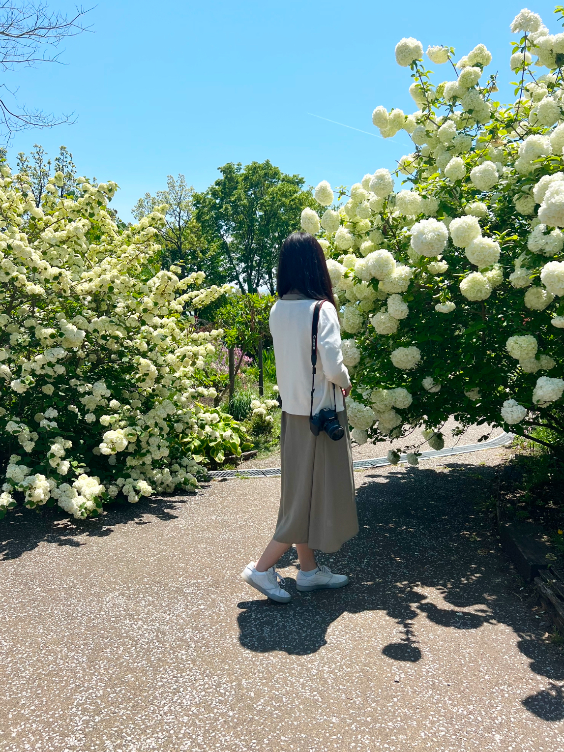 花と私