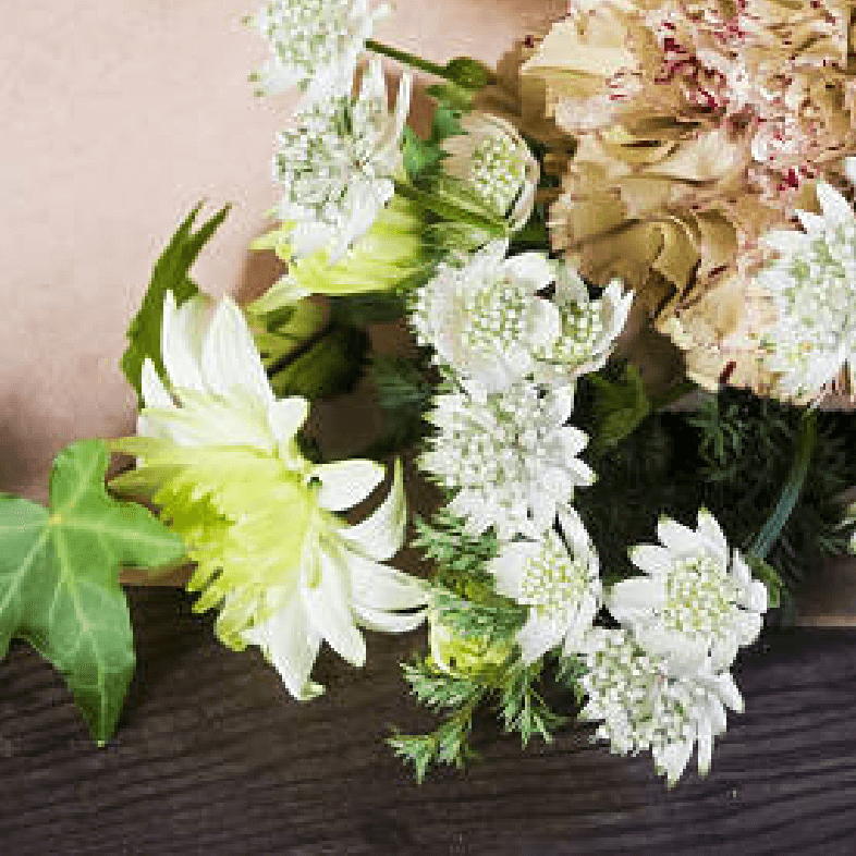 季節の花々や植物の画像