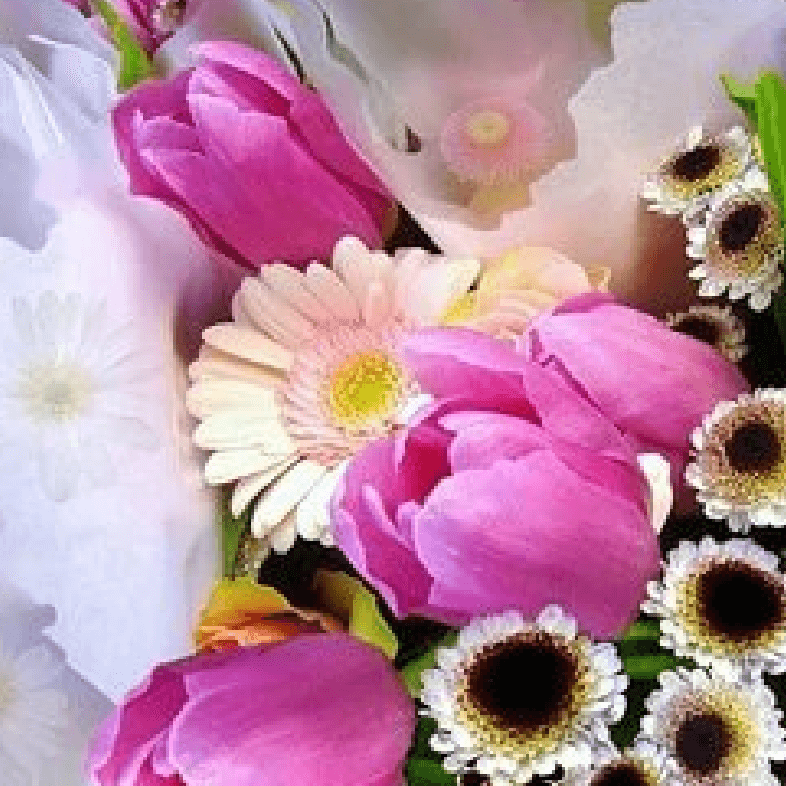 季節の花々や植物の画像