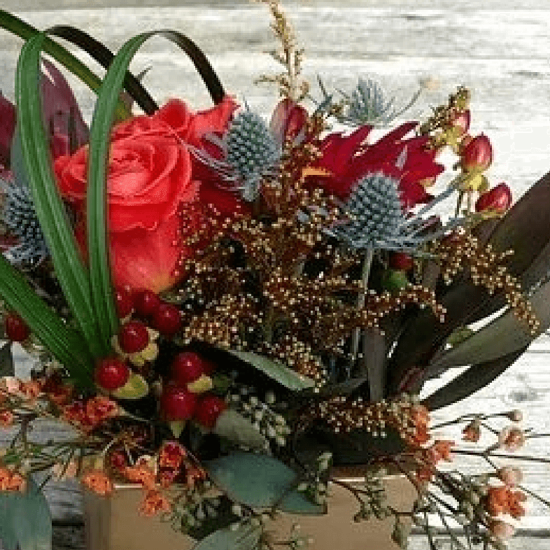 季節の花々や植物の画像