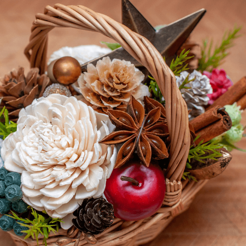 季節の花々や植物の画像