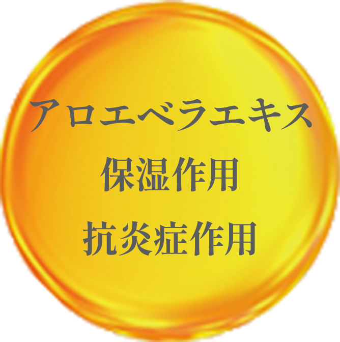 成分2