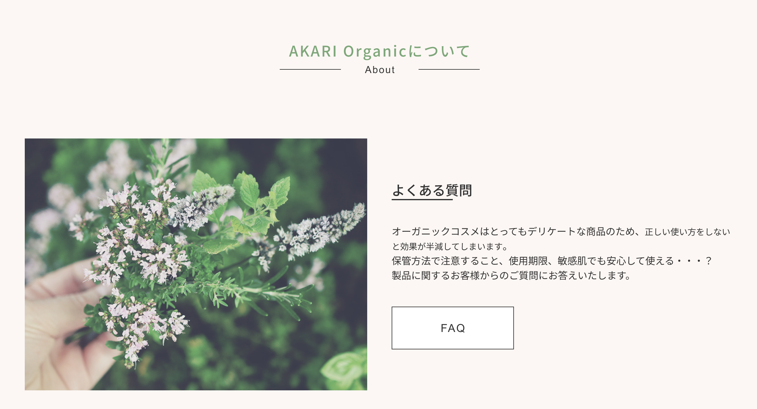 オーガニック製品サイト画像