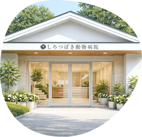 病院外観