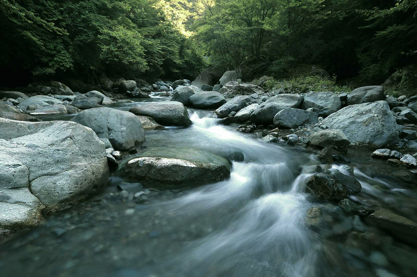 清流の風景