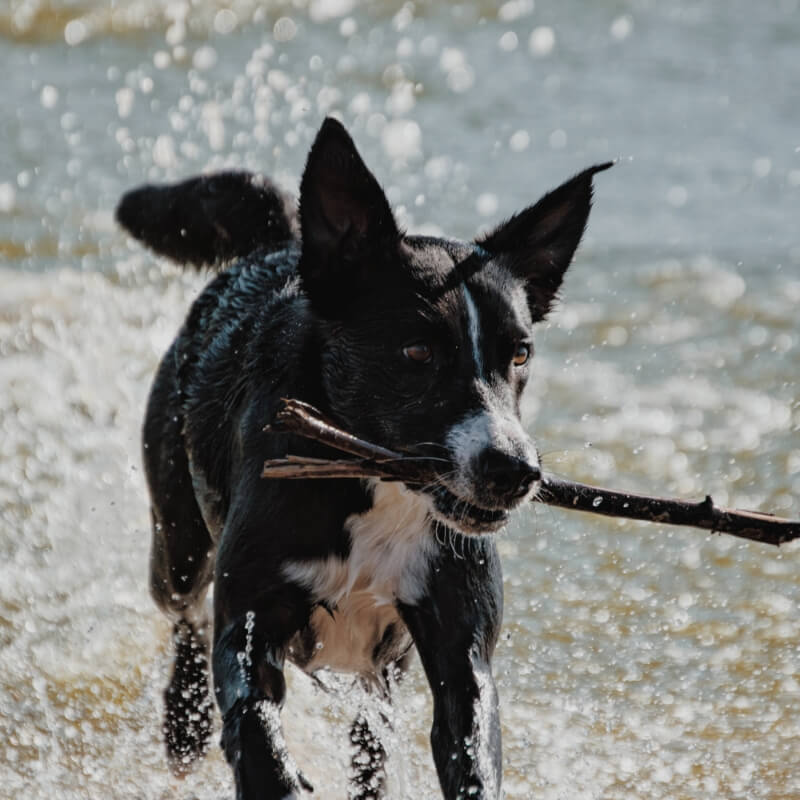 森ゾーンの写真2