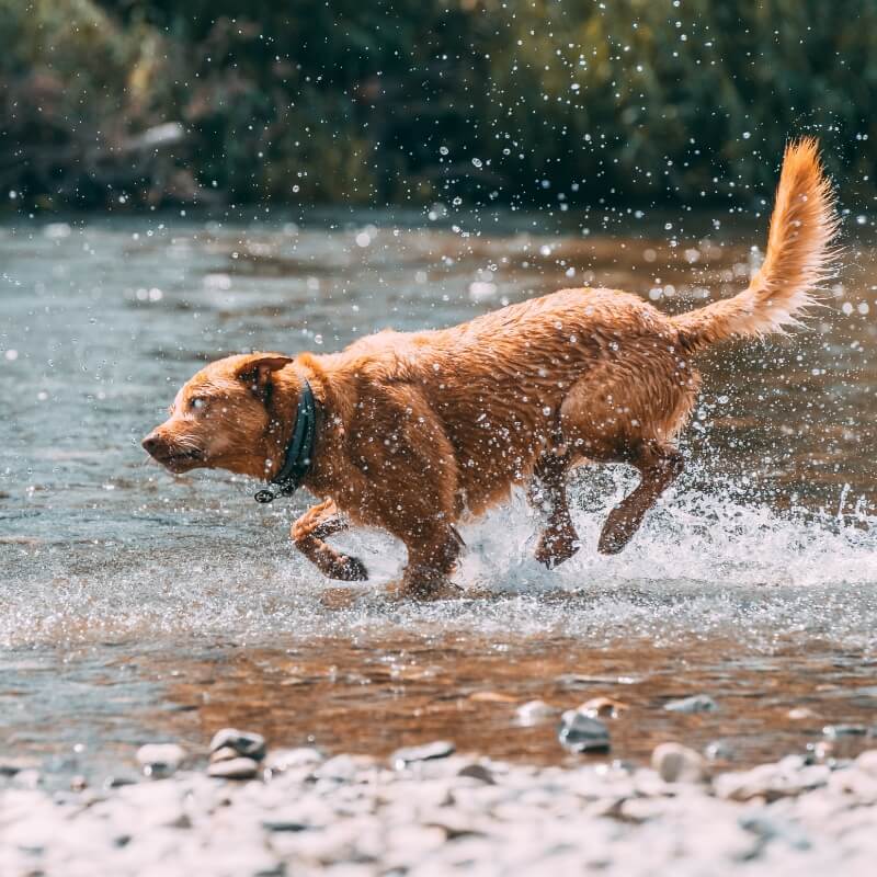 森ゾーンの写真3