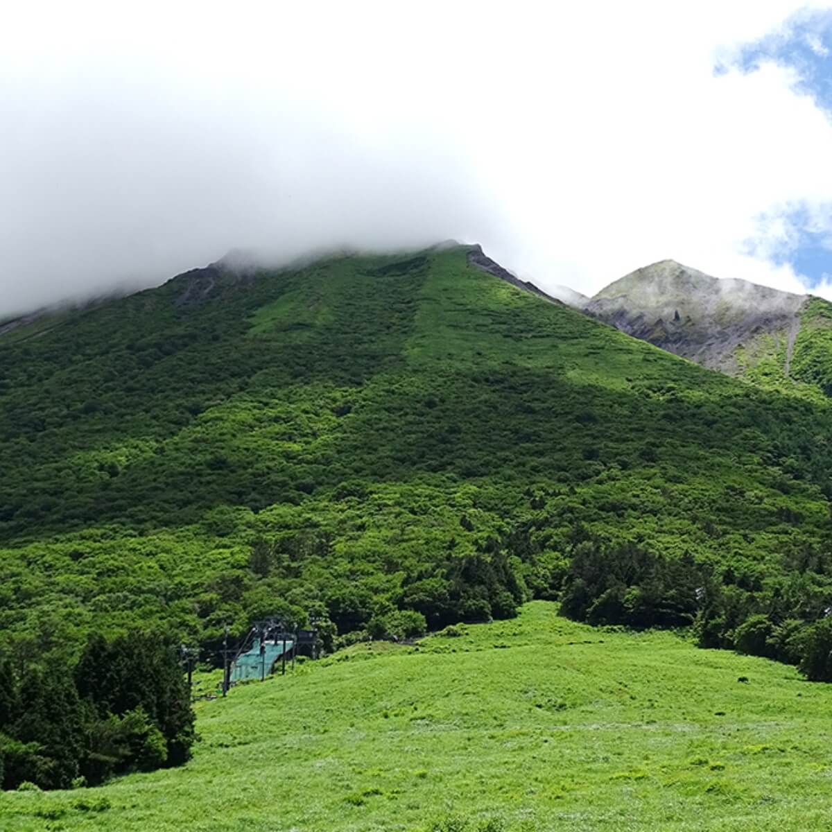 夏のふもとっぱら