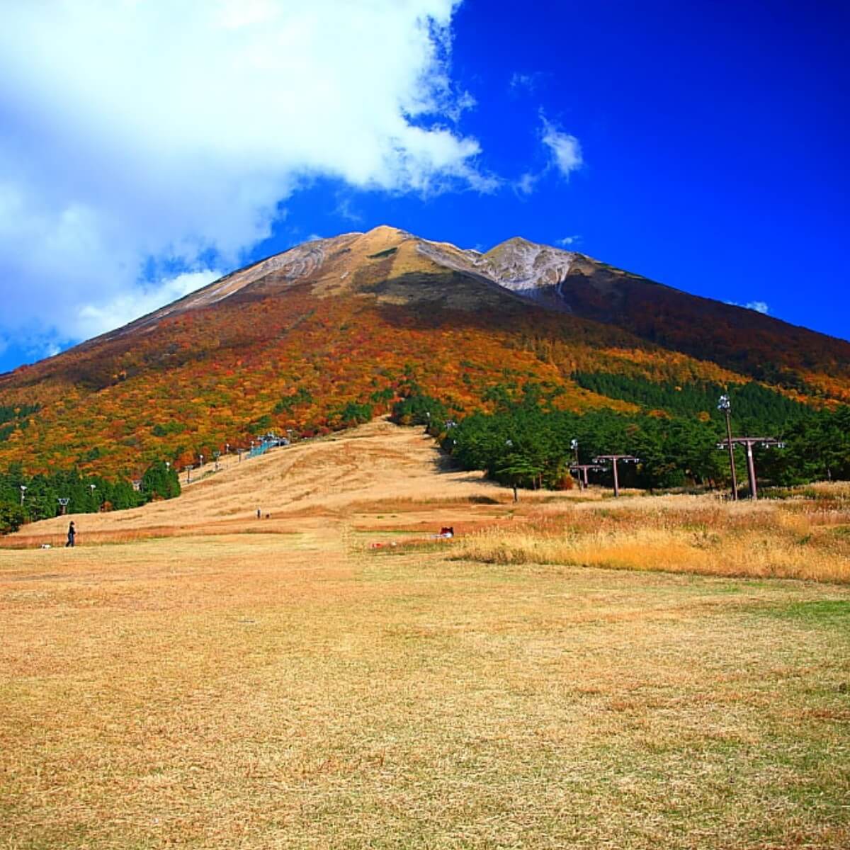 秋のふもとっぱら