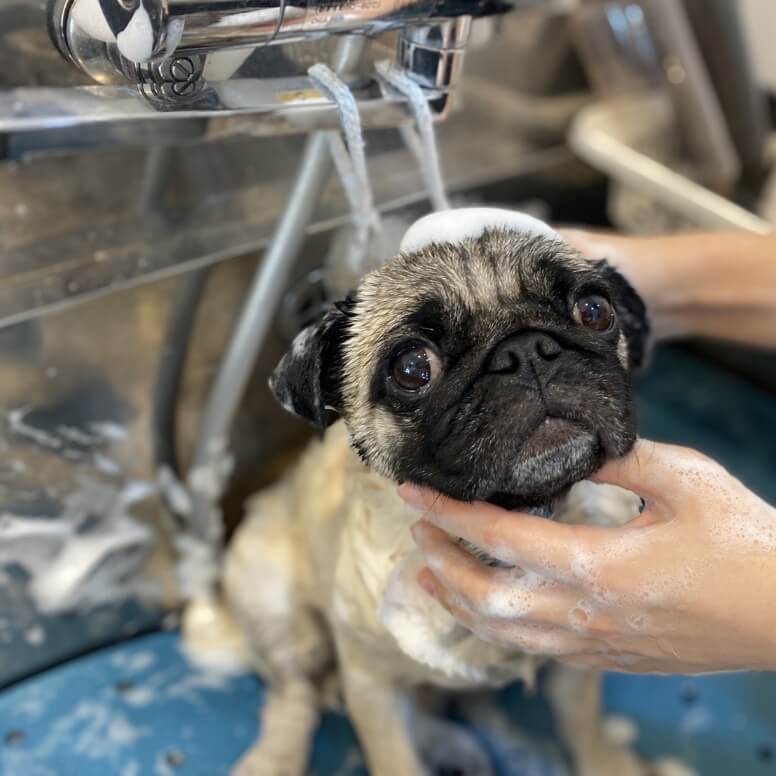 シャンプーブース写真2