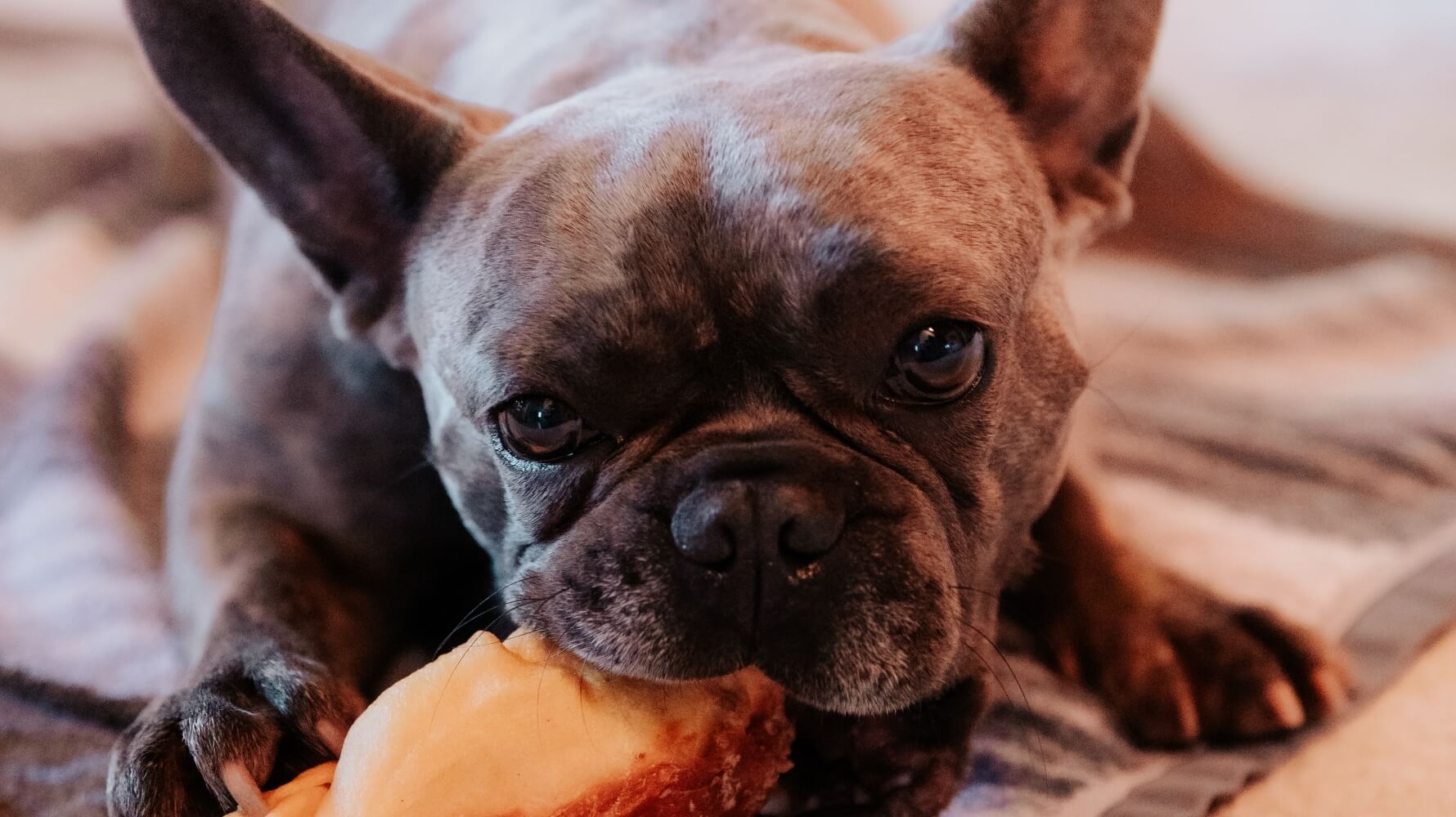 おやつ販売案内