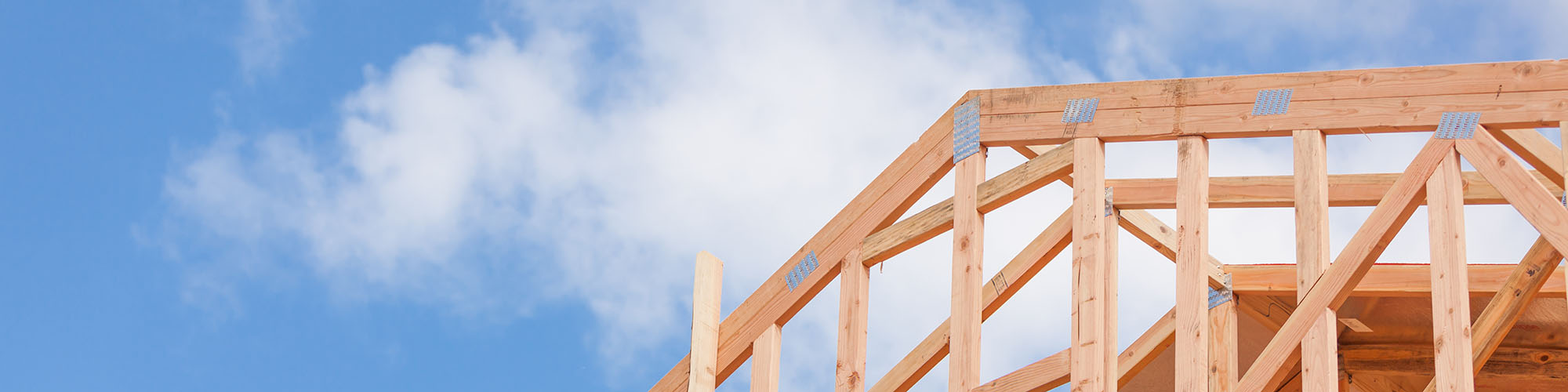 これまでのお仕事