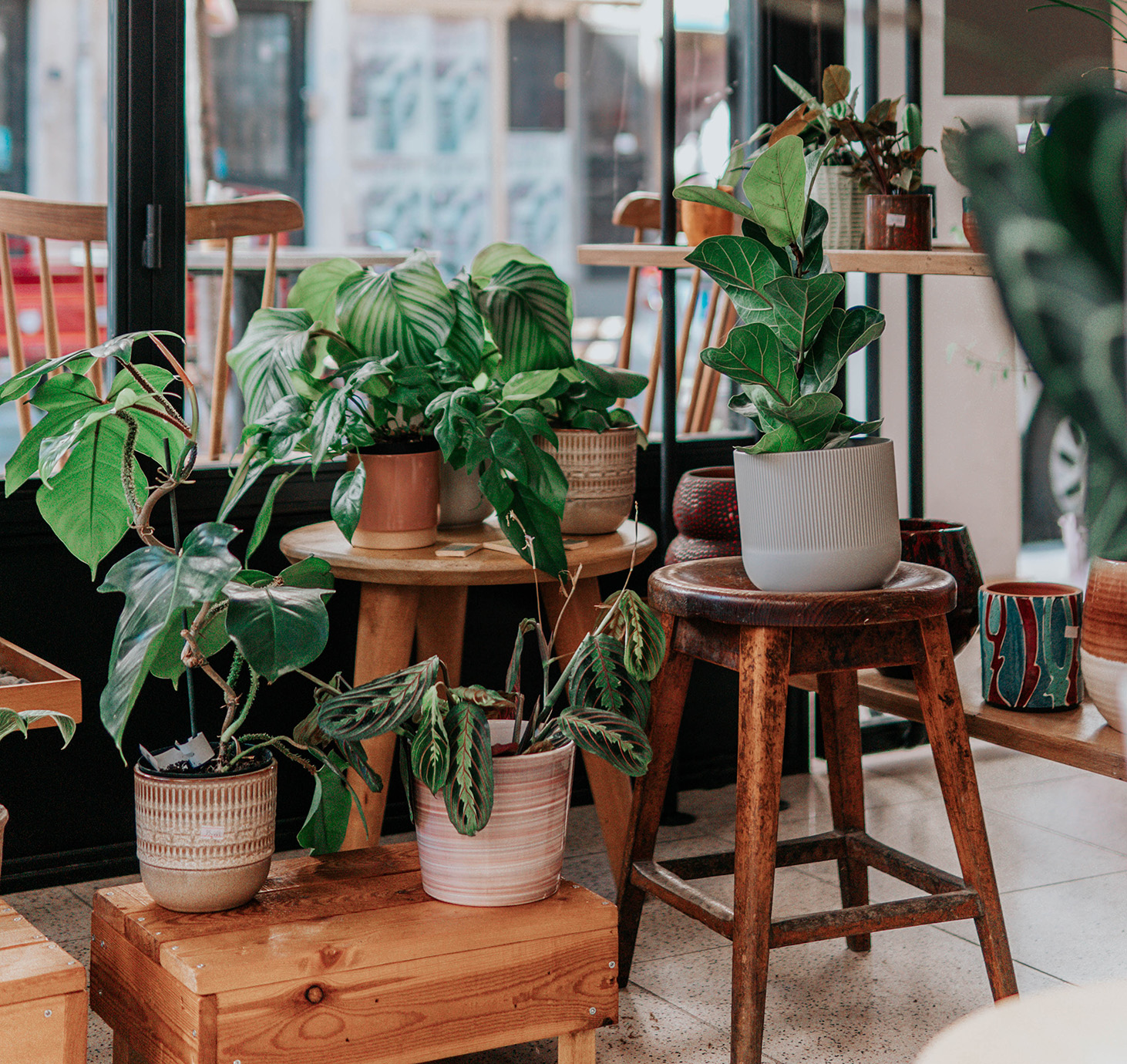 観葉植物・ガーデニング用品